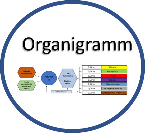 organigramm