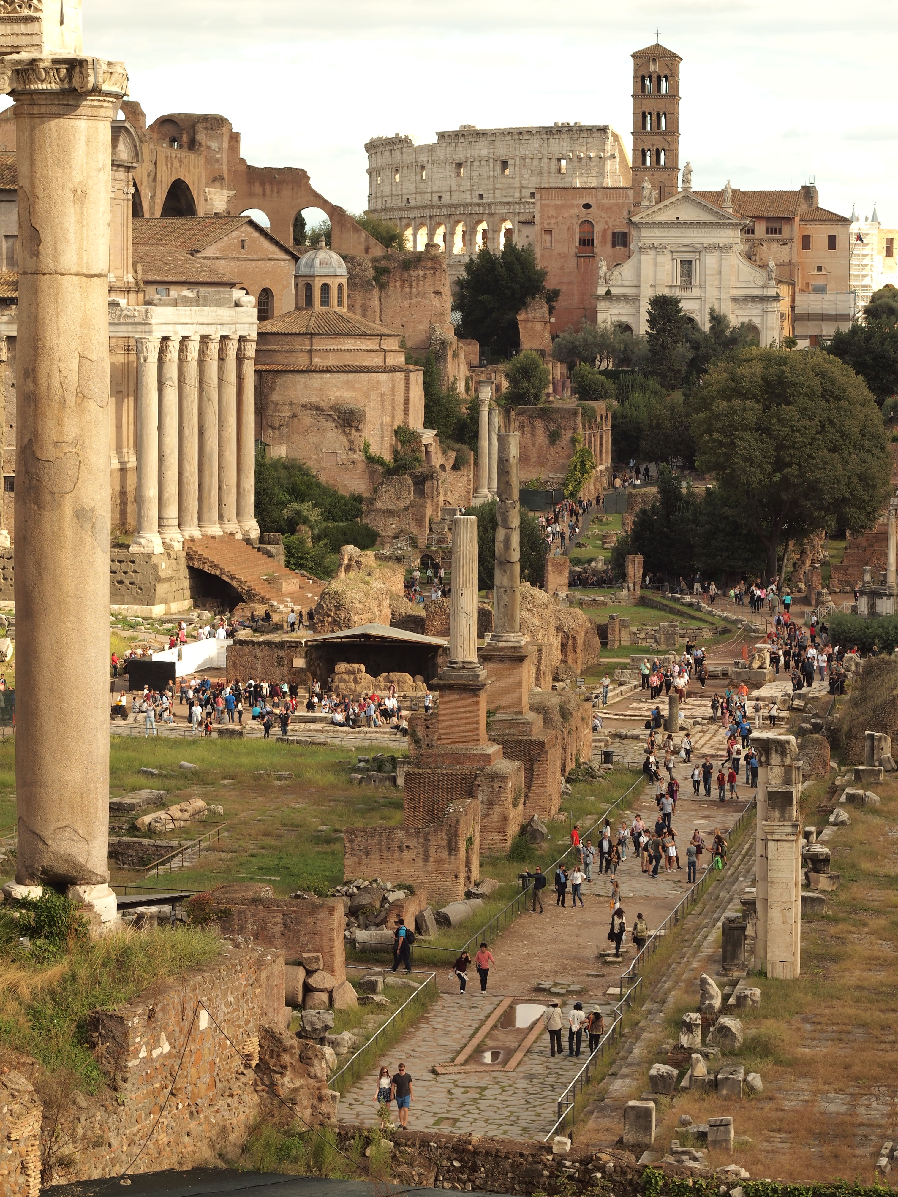 Bild Forum Romanum