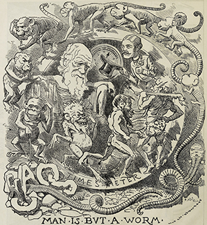 Punch’s Almanack for 1882