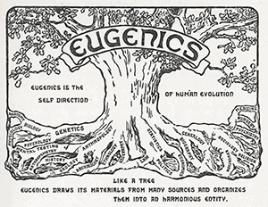 The Second International Exhibition of Eugenics