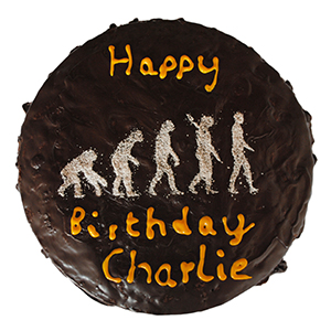 Kuchen mit einem ‚March of Progress‘