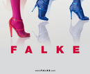 falke falke