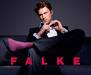 Falke2 Falke2