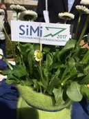 Bild_SiMi_2017 Bild_SiMi_2017