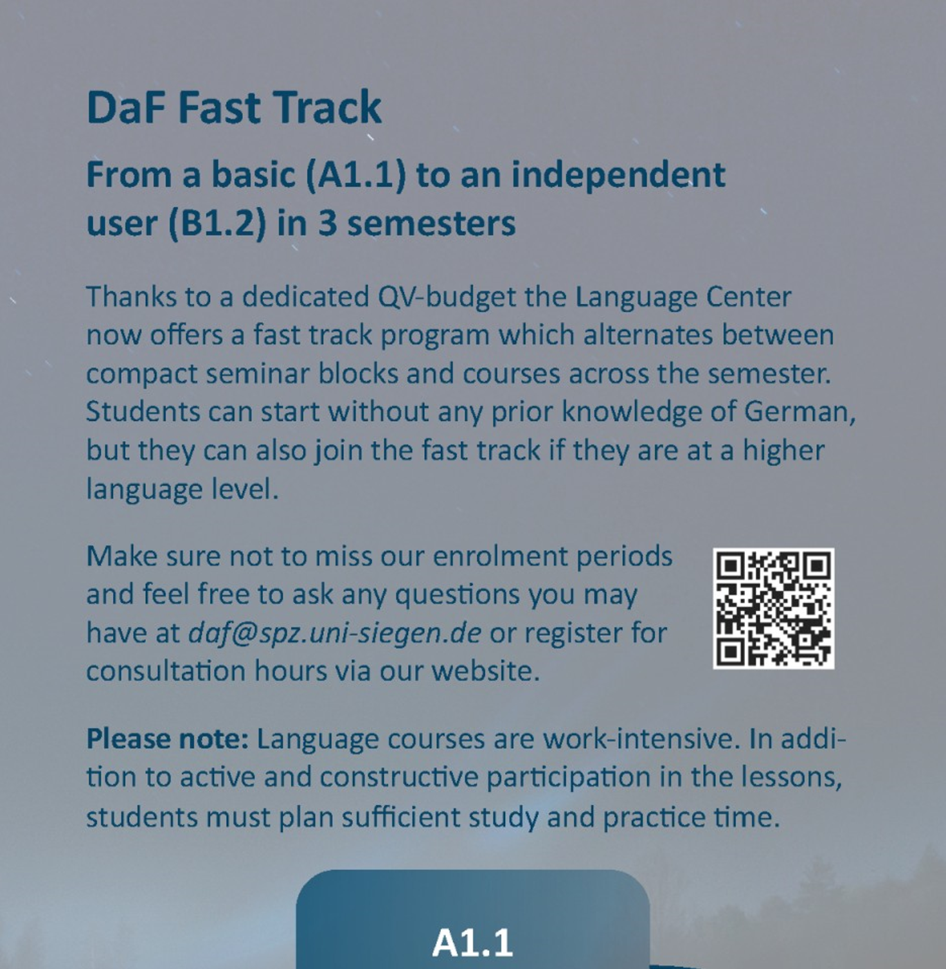 DaF Fast Track