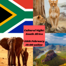 SOuth African Night