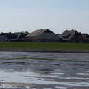 Hallig