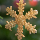 schnee_thumb
