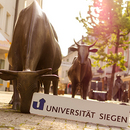 stier3_thumb stier3_thumb