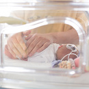 Ein Frühchen im Inkubator bei der pflegerischen Versorgung. (Foto: DRK-Kinderklinik Siegen, Stefan Wendt)