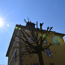 enc_sonne_thumb enc_sonne_thumb