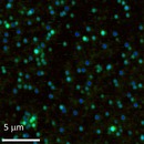 Nanobubbles_thumb Nanobubbles_thumb
