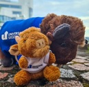 Maskottchen Siggi Maskottchen Siggi