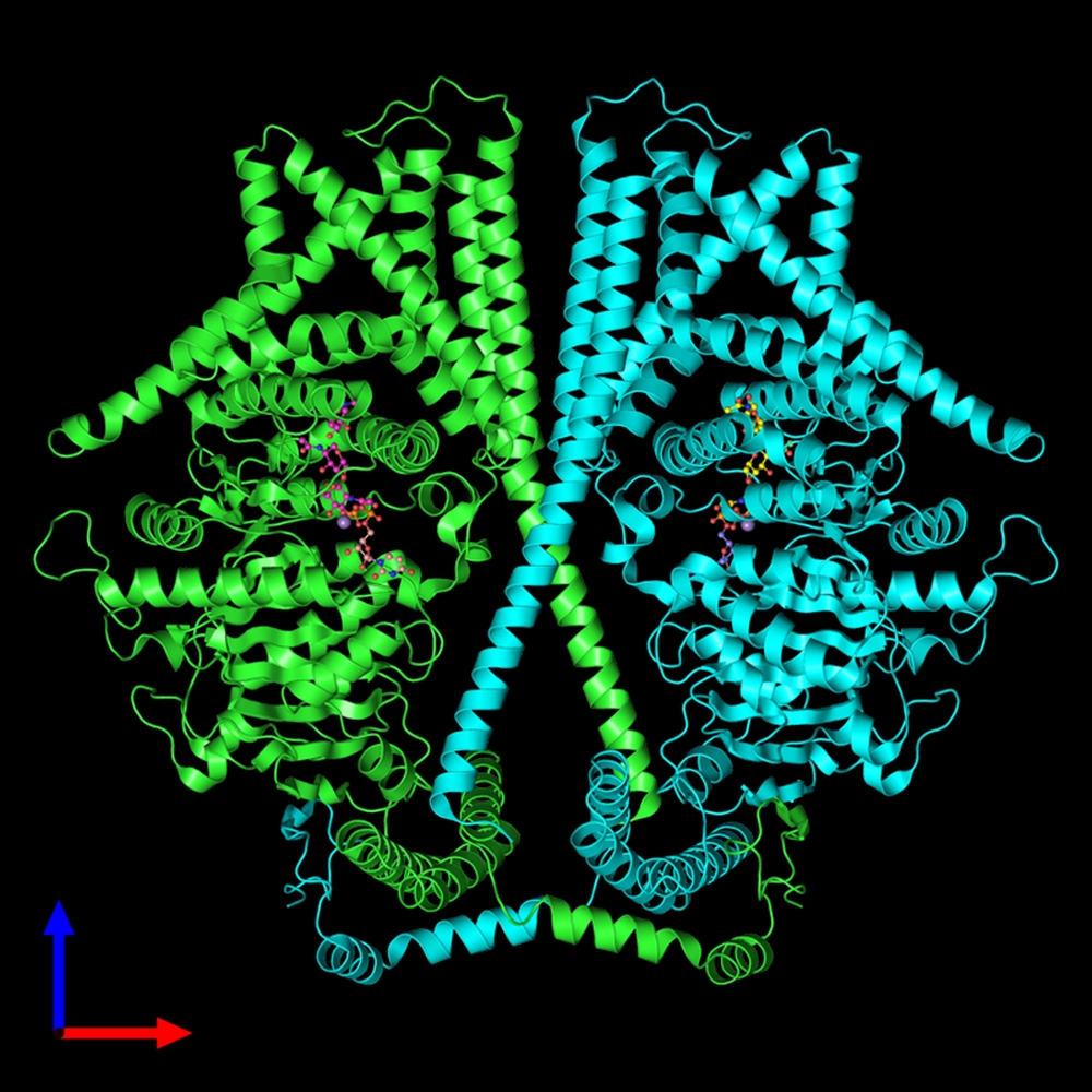 Chitin_web1