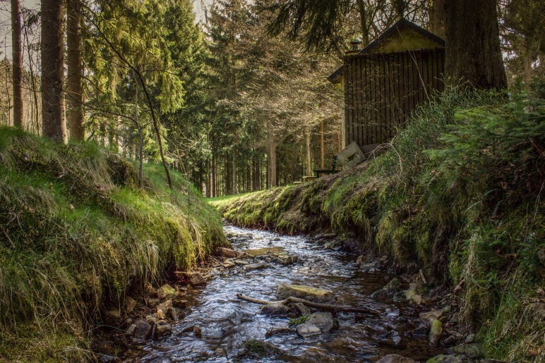 Tag der Biovielfalt_web