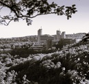 Siegen Uni AR