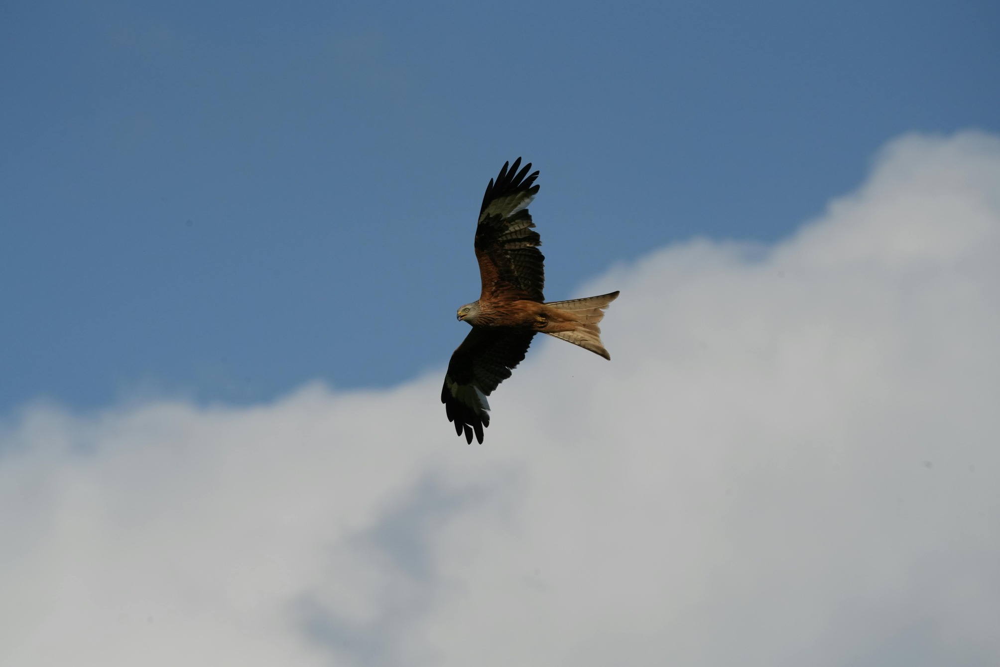 windkraft_web3