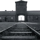 auschwitz_thumb auschwitz_thumb