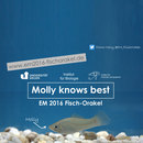 molly-thumb molly-thumb
