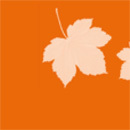 Atumn School 2012