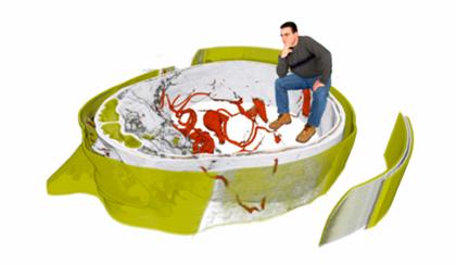 Dr. Christof Rezk-Salama in Volume Rendering Abbildung