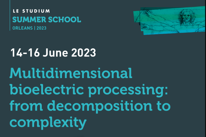 Le Studium: Multidimensional bioelectric processing