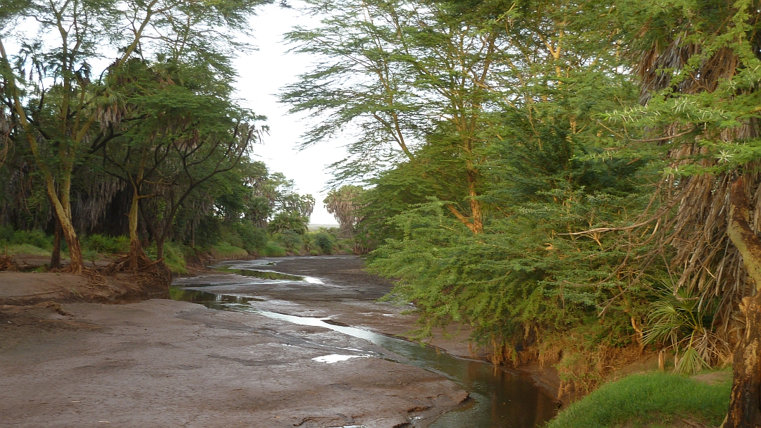 Tsavo River