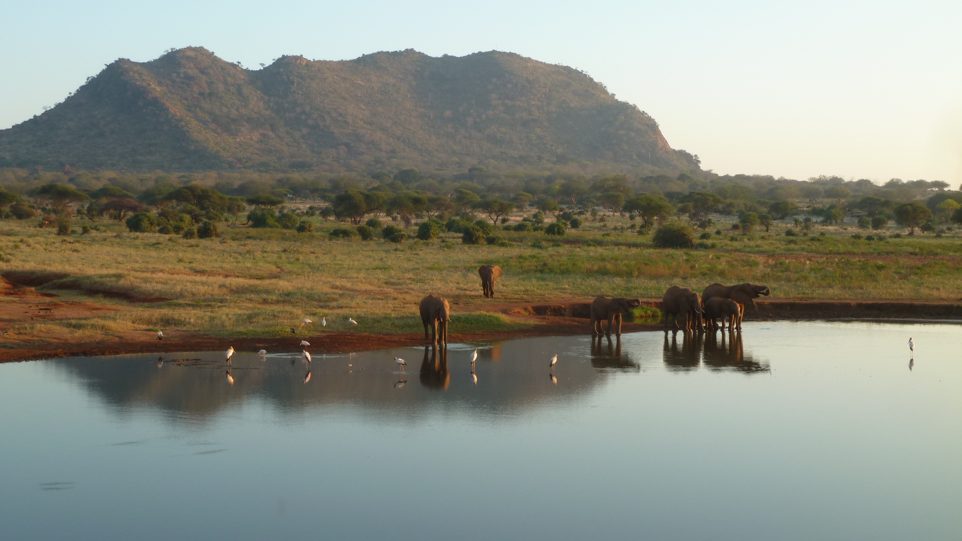 Tsavo Nationalpark