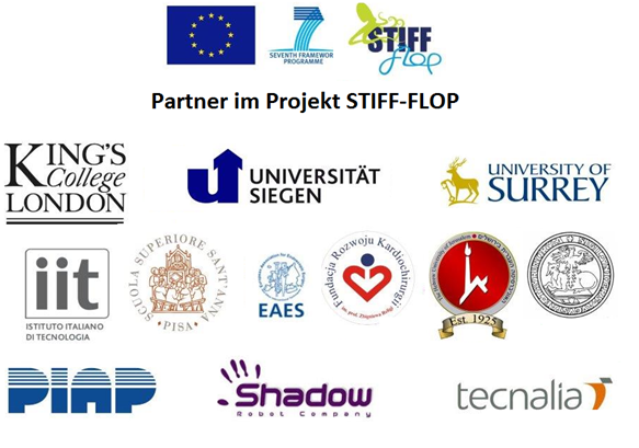 STIFF-FLOP Logos