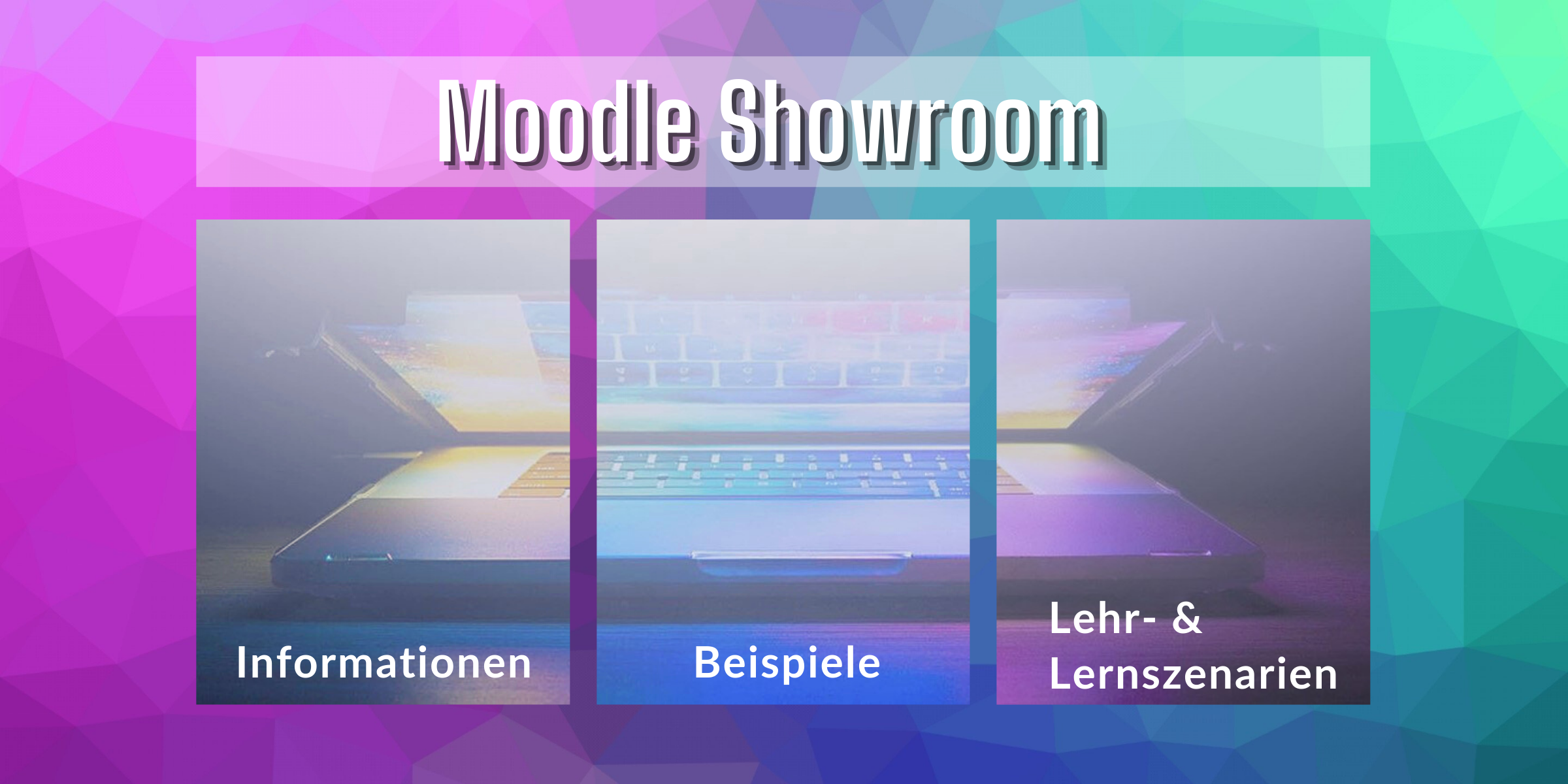 Moodle Showroom Bild