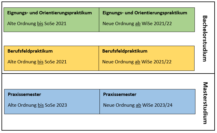 Praxisphasen Schaubild